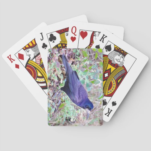 Jeu De Cartes Cartes de jeu de freux (dos)