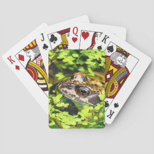 JEU DE CARTES CARTES DE JEU DE FROG