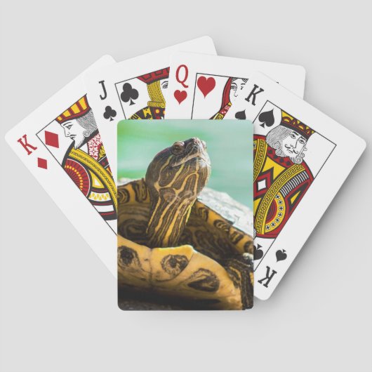 Jeu De Cartes Cartes De Jeu De La Tortue (dos)