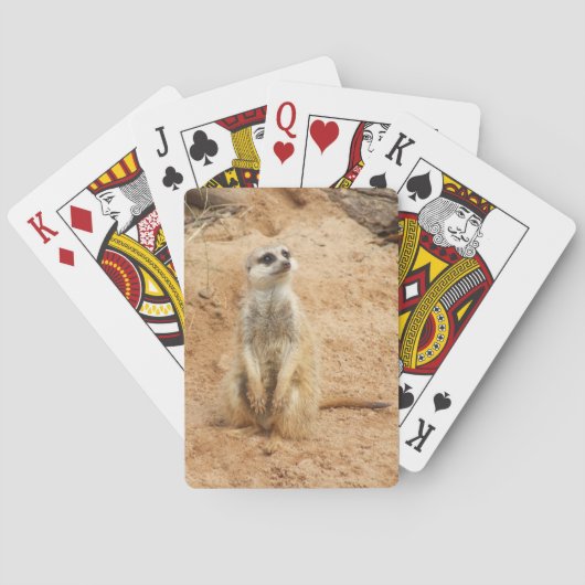 Jeu De Cartes Cartes de jeu de Meerkat (dos)