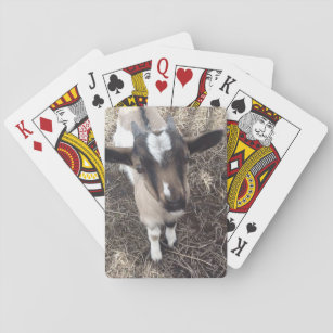 Jeu De Cartes Cartes de jeu de photo de chèvre