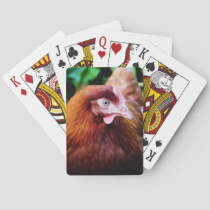 Jeu De Cartes Cartes de jeu de poulet