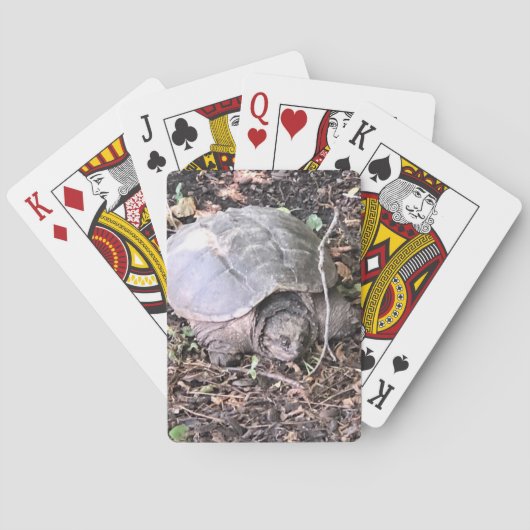 Jeu De Cartes Cartes de jeu de tortues (dos)