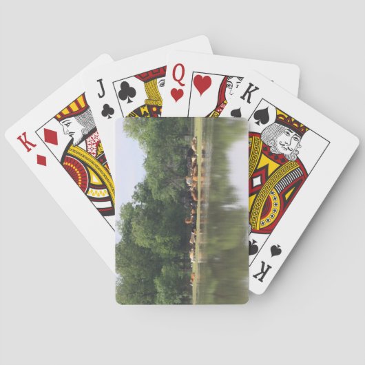 Jeu De Cartes Cartes De Jeu De Vache (dos)