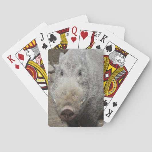 Jeu De Cartes Cartes de jeu de visage de tisonnier (dos)