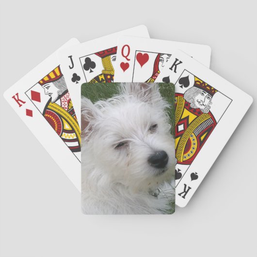 Jeu De Cartes Cartes de jeu de Westie (dos)