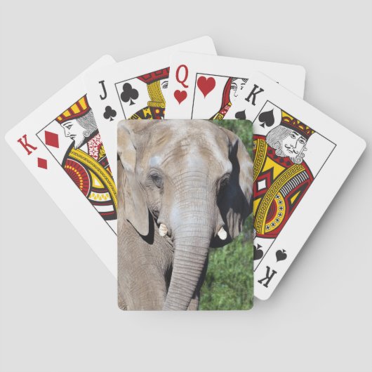 Jeu De Cartes Cartes de jeu d'éléphant (dos)