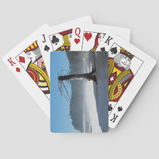 Jeu De Cartes Cartes de jeu Funky Tree