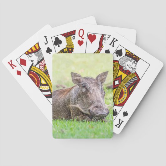 Jeu De Cartes Cartes de jeu merveilleuses de Warthog (dos)
