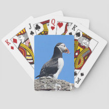 Cartes de jeu Puffin