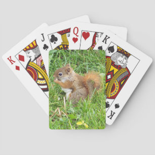 Jeu De Cartes Cartes de jeu, thème d'écureuil rouge