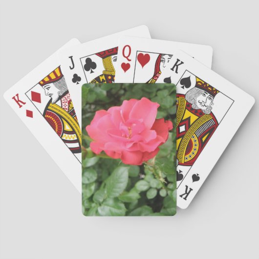 Jeu De Cartes Cartes de jeu Wild Rose (dos)