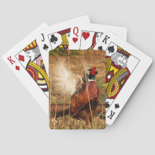 Jeu De Cartes Cartes De Jouage Faisant Faisceau