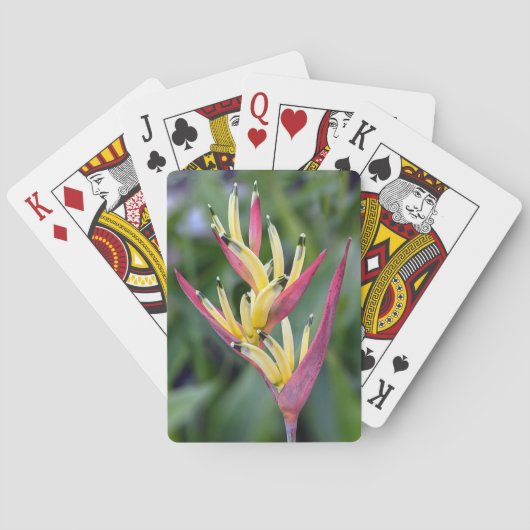 Jeu De Cartes Cartes de lecture à fleurs (dos)