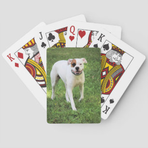 Jeu De Cartes Cartes de lecture Boxer