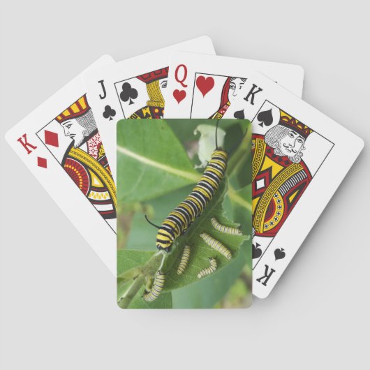 Jeu De Cartes Cartes de lecture classiques (dos)