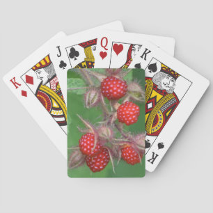 Jeu De Cartes Cartes de lecture de framboise