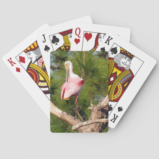 Jeu De Cartes Cartes de lecture de Spoonbill Roseate (dos)