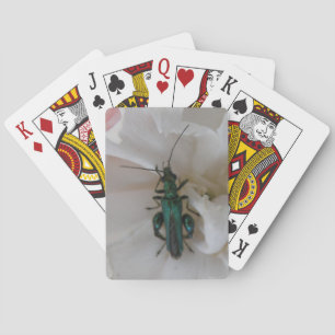 Jeu De Cartes Cartes de lecture du coléoptère de fleurs