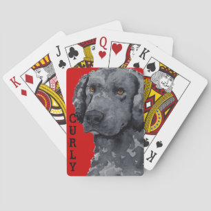 Jeu De Cartes Cartes de lecture en bloc couleur Retriever recouv