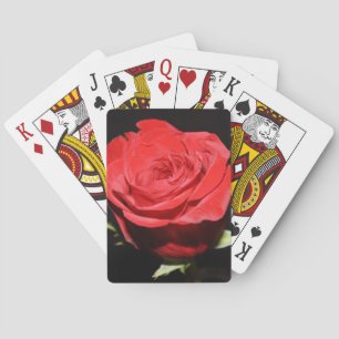 Jeu De Cartes Cartes de lecture Rosey