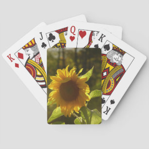 Jeu De Cartes Cartes de tournesol