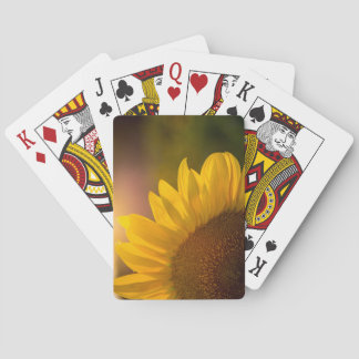 Jeu De Cartes Cartes de tournesol