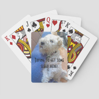 Jeu De Cartes Cartes de vélo Lakeland terrier