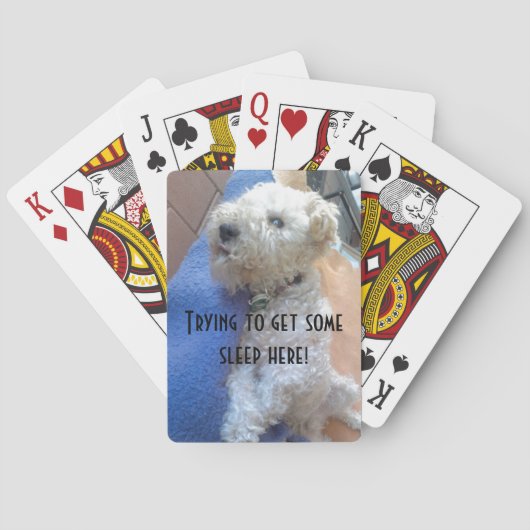 Jeu De Cartes Cartes de vélo Lakeland terrier (dos)