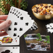 Jeu De Cartes Cascade dans le Colorado (In Situ)