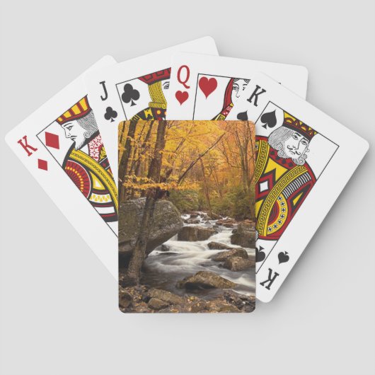 Jeu De Cartes Cascade d'automne (dos)