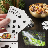 Jeu De Cartes Cascade de Hell's Gate Canyon (In Situ)