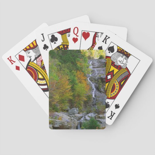 Jeu De Cartes Cascade Silver (dos)