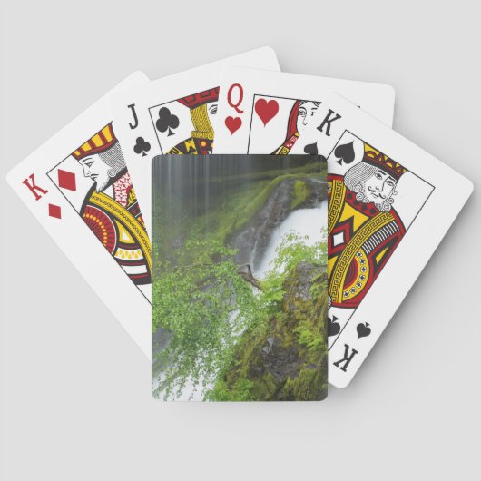 Jeu De Cartes Cascade Verte Scénique (dos)