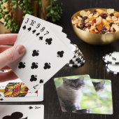 Jeu De Cartes Cat (In Situ)