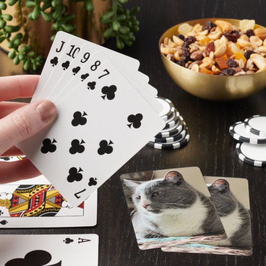 Jeu De Cartes Cat (In Situ)