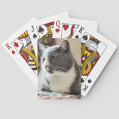 Jeu De Cartes Cat (dos)