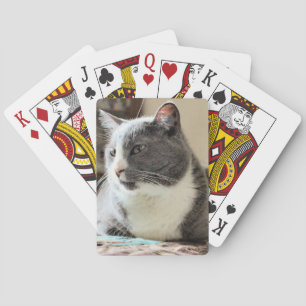 Jeu De Cartes Cat