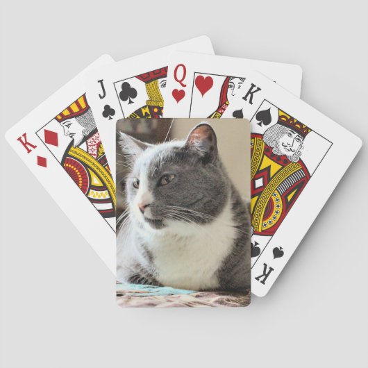 Jeu De Cartes Cat (dos)