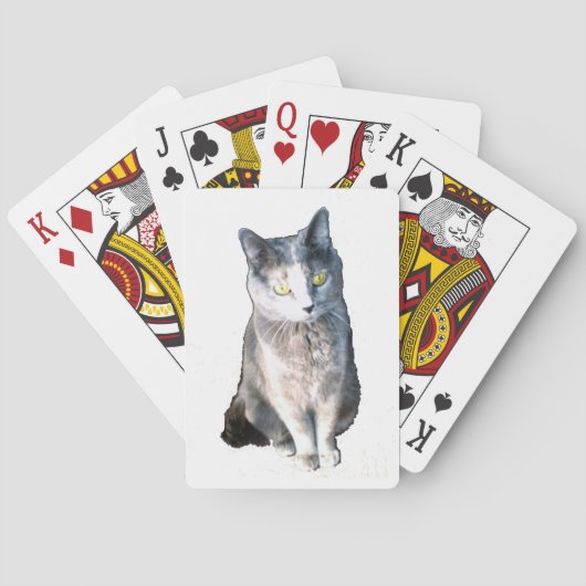 Jeu De Cartes Cat 11 Cartes de lecture (dos)