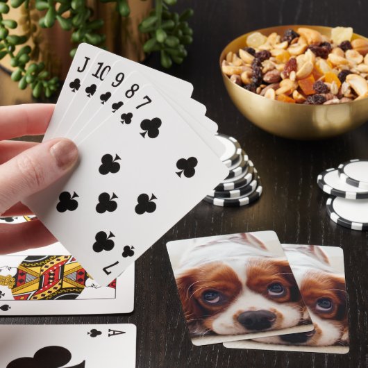Jeu De Cartes Cavalier Charles Spaniel (In Situ)