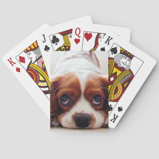 Jeu De Cartes Cavalier Charles Spaniel (dos)