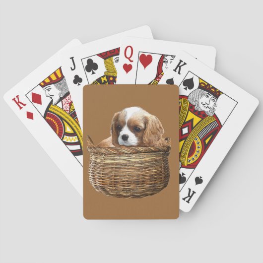 Jeu De Cartes Cavalier King Charles Spaniel (dos)
