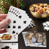 Jeu De Cartes Cerf à queue blanche (gros plan) (In Situ)