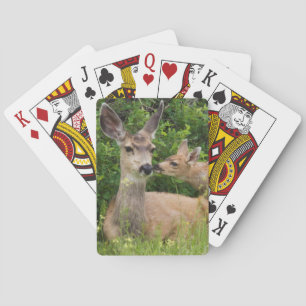 Jeu De Cartes Cerf Mule Cerf avec Faon