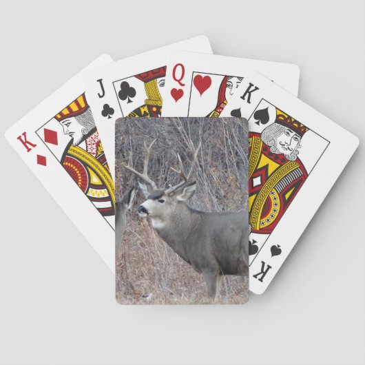 Jeu De Cartes Cerf mulet mâle D29 (dos)