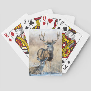 Jeu De Cartes Cerf mulet mâle et femelle