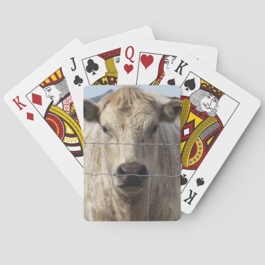 Jeu De Cartes C'est un visage du charolais de bétail de (dos)
