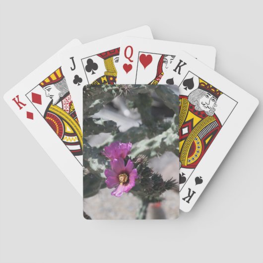 Jeu De Cartes Challa Cactus en fleurs (dos)