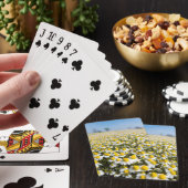 Jeu De Cartes Champ de camomille, Hongrie (In Situ)